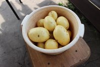 IMG_8560.jpg