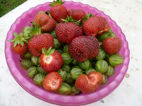 ягоды Мальвина и уральский изумруд.jpg