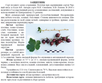 Защитник описание.png