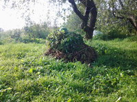 20170731_175946.jpg