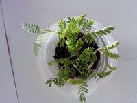 IMG10459.jpg