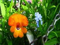 IMG_3721.JPG