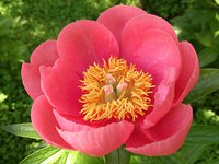 IMG_20130615_224026.jpg