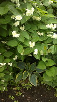 2013-06-16-535.jpg