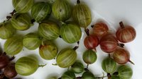 зелёние - мясистие, вкусные, болшие - толко с куста которому больше 60 лет