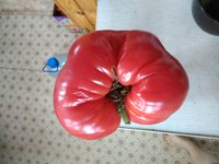 IMG_20170808_143154.jpg