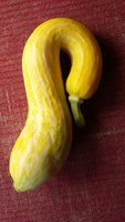 20170810_123038.jpg