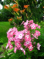 IMG_3867-1.jpg