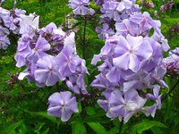IMG_3832.JPG
