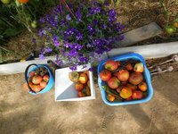 DSCN0694.JPG