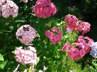20170809_150641.jpg