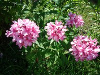 20170809_150544.jpg