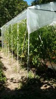 20150720_133133.jpg