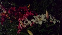 20170811_222732.jpg