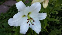 20170812_155722.jpg