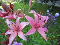 IMG_2779.JPG