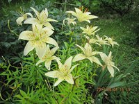 IMG_2785.JPG