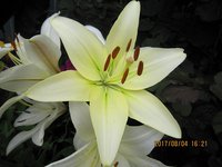 IMG_2792.JPG