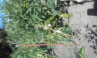 20170806_144141.jpg