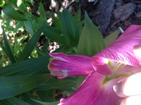 IMG_7356.JPG