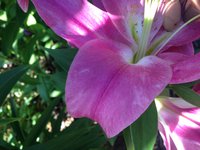IMG_7357.JPG