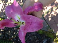IMG_7359.JPG