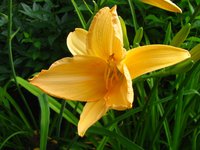 IMG_4021-1.jpg