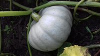 20170814_184243.jpg