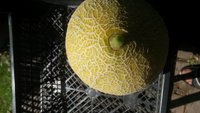 20170818_113935.jpg
