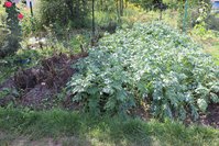 IMG_8702.jpg