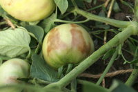 PICT0002.JPG