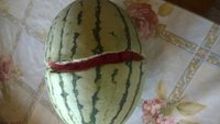 WP_20170818_002.jpg