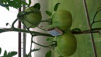 20170820_185900.jpg