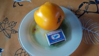 20170820_185530.jpg