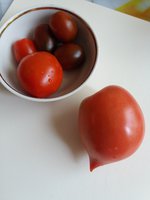 20170821_074009.jpg
