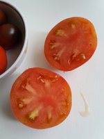 20170821_074043.jpg