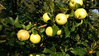 20170821_070535.jpg