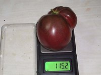 020-24.jpg