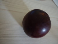 DSC05768.JPG