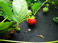 IMG_20170824_113115.jpg