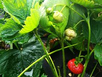 IMG_20170824_113254.jpg