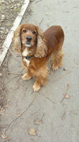 2012-10-10-087.jpg