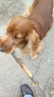 2012-10-10-085.jpg