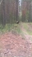 big_165294_1503330775599b01d76f7ba.jpg
