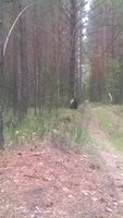 big_165294_1503330773599b01d595a50.jpg