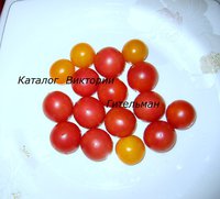 IMG_7862.JPG