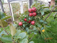 DSCN2820.JPG