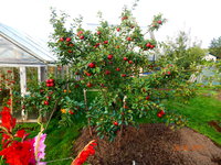 DSCN2831.JPG