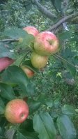 WP_20170827_004.jpg