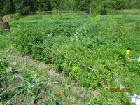 Китай IMG_0323.JPG